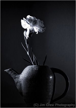 Flower and Teapot